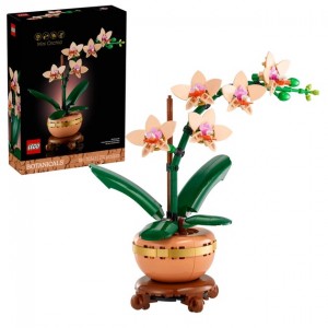 Конструктор Lego 10343 Botanicals Мини-орхидея
