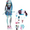 Кукла Monster High Фрэнки Штейн HHK53 Mattel