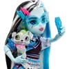 Кукла Monster High Фрэнки Штейн HHK53 Mattel