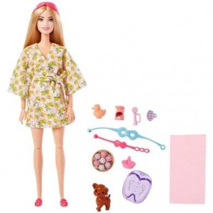 Кукла Активный отдых Спа-уход Barbie HKT90